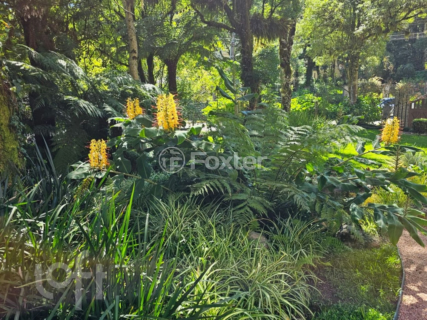Image 3 - 848768