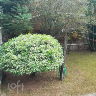 Image 4 - 851513