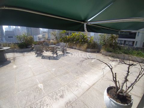 Image 51 - 852291