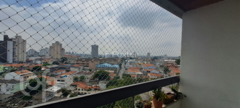Image 3 - 853908