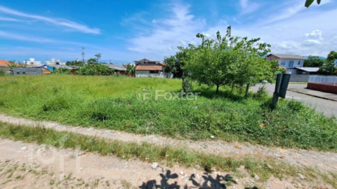 Image 7 - 855594
