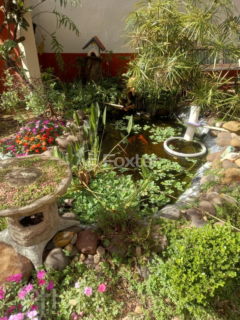 Image 19 - 856474