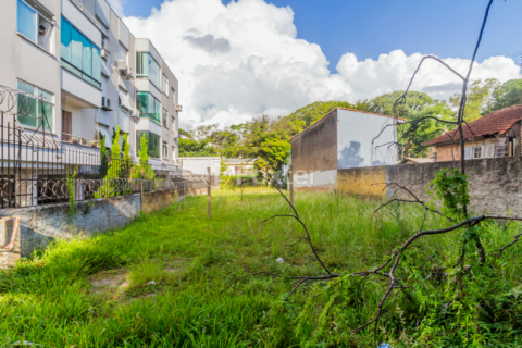 Image 3 - 856767