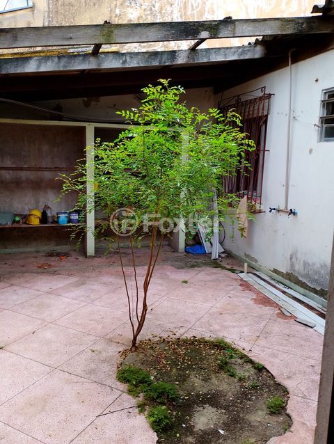 Image 11 - 856790