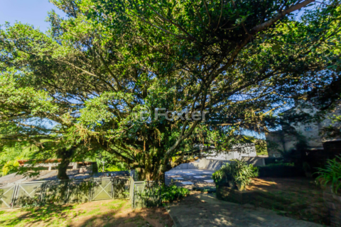 Image 31 - 857366