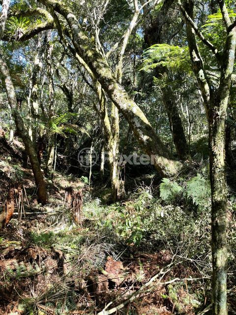 Image 6 - 857520