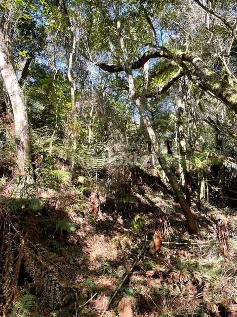 Image 4 - 857520