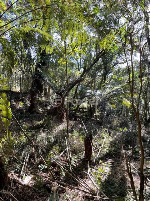 Image 3 - 857520