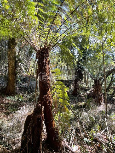 Image 5 - 857520