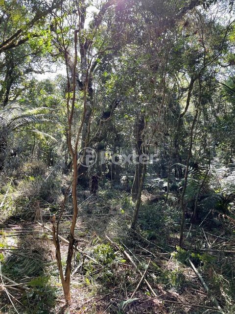 Image 2 - 857520