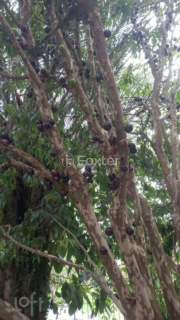 Image 4 - 857563