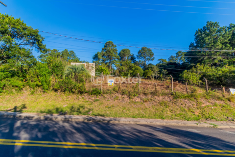Image 7 - 857825