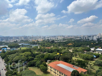 Image 3 - 858295