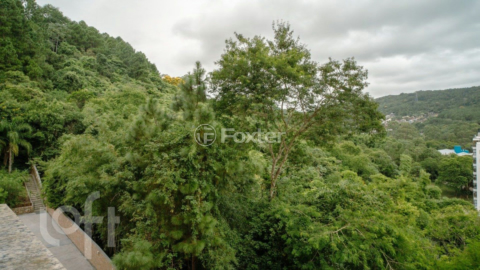 Image 52 - 858299
