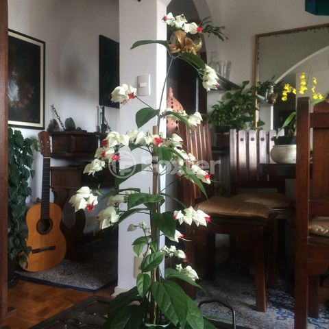 Image 4 - 859717