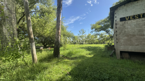 Image 10 - 863095