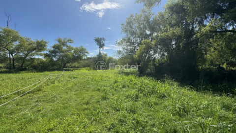 Image 13 - 863095