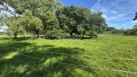 Image 7 - 863095