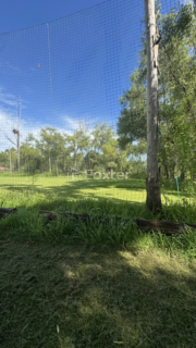 Image 14 - 863095