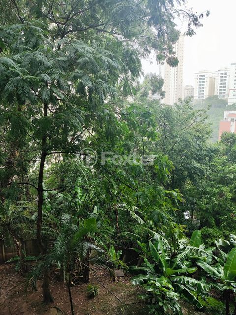 Image 19 - 863545