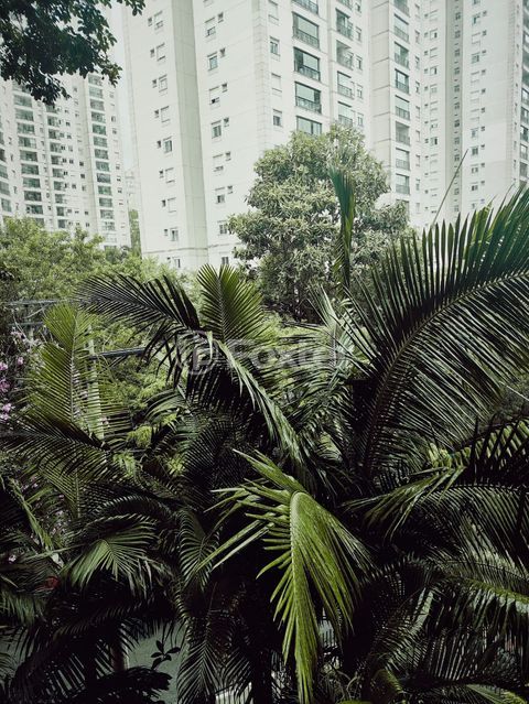 Image 28 - 863545