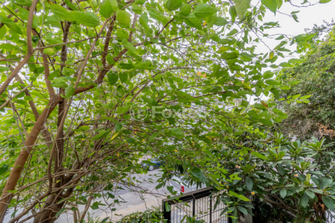 Image 32 - 864281