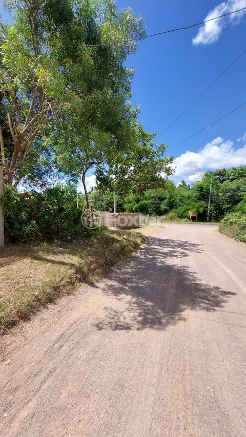 Image 4 - 864650