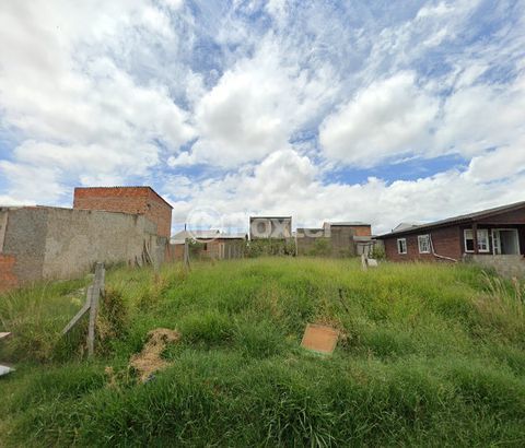 Image 8 - 865416