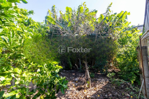 Image 24 - 865570