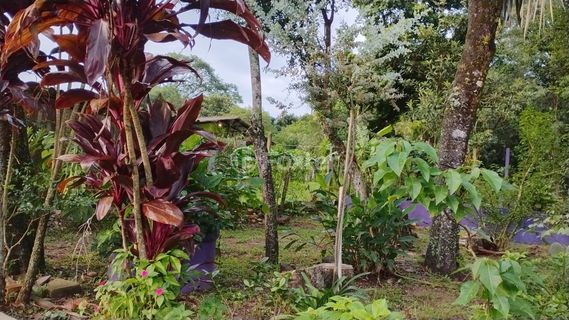 Image 15 - 865936