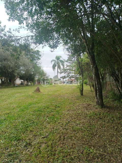 Image 13 - 867594
