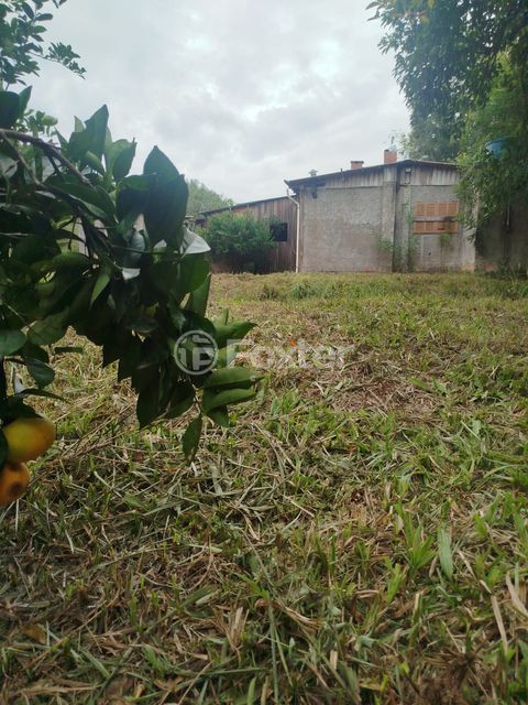 Image 9 - 867594
