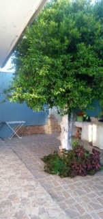 Image 11 - 867737
