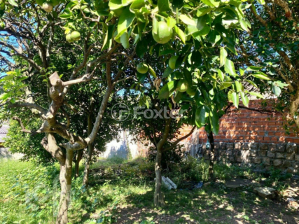 Image 10 - 868460