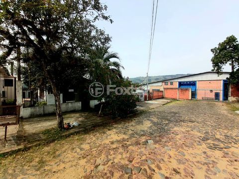 Image 4 - 868516