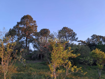 Image 2 - 868641