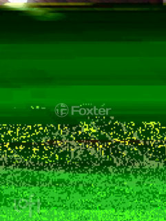 Image 19 - 868951