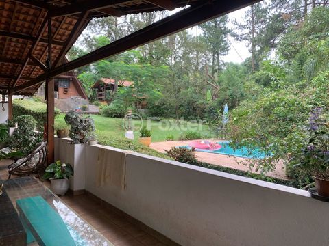 Image 25 - 869418