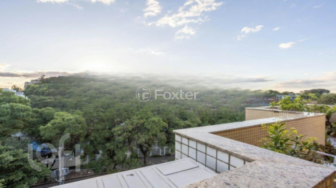 Image 36 - 869482