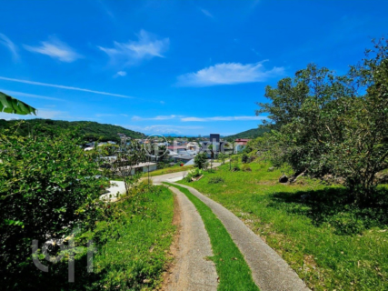 Image 42 - 869780