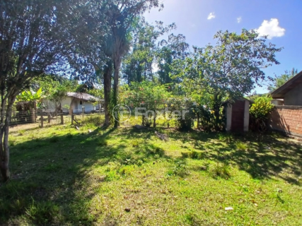 Image 8 - 869910
