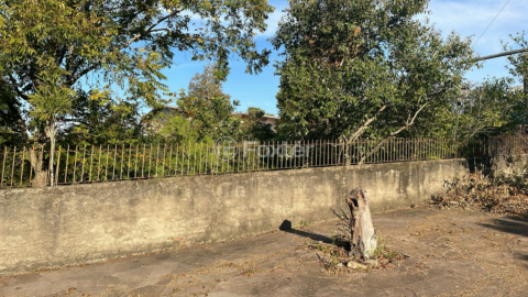 Image 2 - 870001