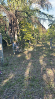 Image 4 - 870001