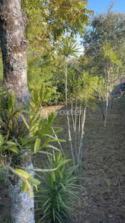 Image 5 - 870001