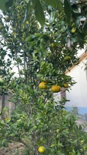 Image 7 - 870001