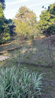 Image 8 - 870001