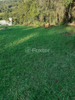 Image 1 - 870333