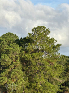Image 18 - 871140