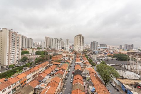 Image 15 - 871647