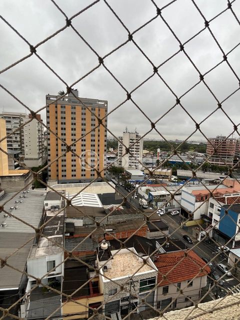 Image 5 - 873287